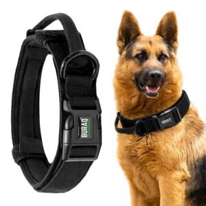 buraq tactical dog collar – heavy duty military nylon with handle (black, xl)